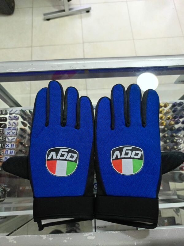 Guantes para el frío azules – Protección térmica y estilo para motociclistas - Imagen 2